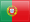 Bandeira de pt